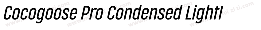 Cocogoose Pro Condensed LightIta字体转换
